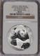 Panda Argent 2013 2 Oz. Commemoratif Officiel De Chine Ngc Ms67