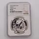 Panda Argent Chinois 1993 1 Oz 999 10 Yuans Ngc Ms69 Grande Date
