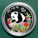 Pi&egrave;ce Panda De Chine 1999 Coloris&eacute;e, Belle &eacute;preuve, 1 Oz D&rsquo;argent 999 &permil;, Sous Capsule Herm&eacute;tique, Avec Patine