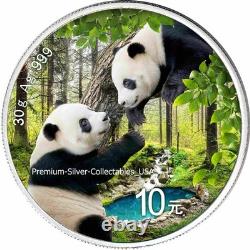 Pièce colorisée en argent pur de 30 grammes Panda de Chine 2023 ! Collectionnez la série