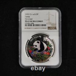 Pièce d'argent Panda colorée de 1 once 999 Ag. Yuan 10 Panda Chine 1999 NGC PF69