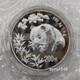 Pièce De 200 Yuans Panda De Chine 1998, Pièce En Argent Panda De Chine 1998, 1000 G/1 Kg