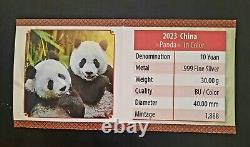 Pièce de monnaie Chine Panda couleur argent 30 gr. 2023