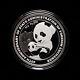 Pièce De Monnaie En Argent Panda De 30g De 10 Yuans Pour Le 40e Anniversaire De La China Safe En 2019