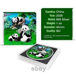Pièce en argent colorisée Panda chinois 30g 2025