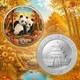 Pi&egrave;ce En Argent Coloris&eacute;e De 30 G Panda De Chine 2026 Quatre Saisons Automne