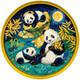 Pièce En Argent De 30g 2025 Panda De Chine Nuit étoilée Art Colorisé Tirage 100