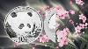 Pièces D'argent Panda De Chine